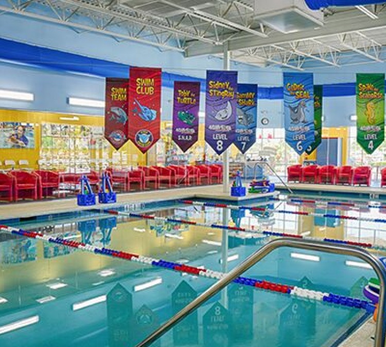 aqua-tots-swim-schools-springklein-photo